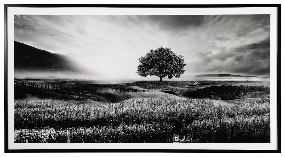 Image of Deborland - Wall Art - Black / White